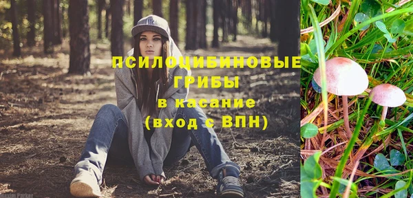 a pvp Белоозёрский